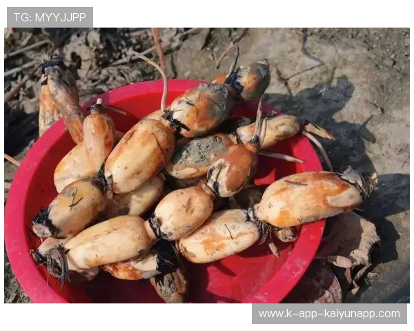 ¦ó+¡-+¦¯-À-¼Â»ú¦¦¯ÀµËÙ¦¯¦¾++Á--¼¦¢¦Õ+¤¦+¤Á-¦+»ÐÁ-À